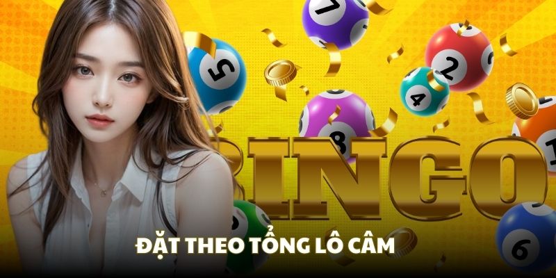 Cách đánh đề ngày nào cũng trúng: Hướng dẫn chi tiết 7 Tổng lô câm cũng rất hiệu quả trong đánh đề